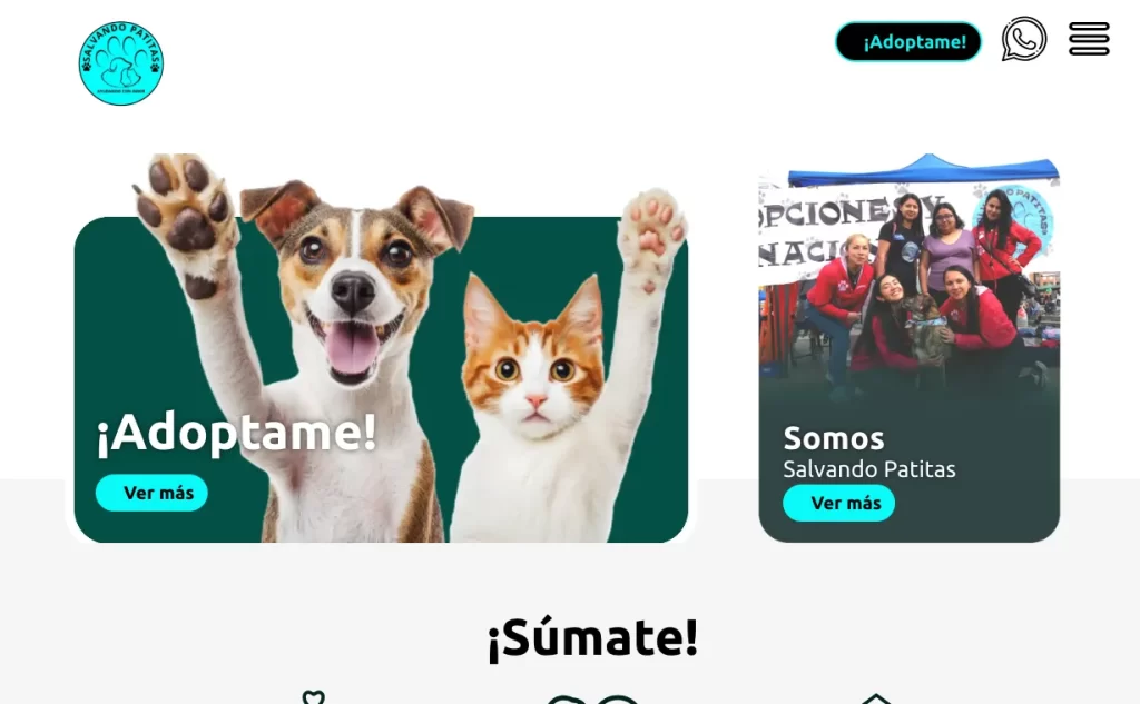 En Madrid Cundinamarca existe una fundación que facilita la adopción de perros y gatos en condición de abandono, asi como tambien realiza actividades para contar con los recursos y realizar campañas de esterilización y hogares de paso para estos peluditos que necesitan de amor y protección.